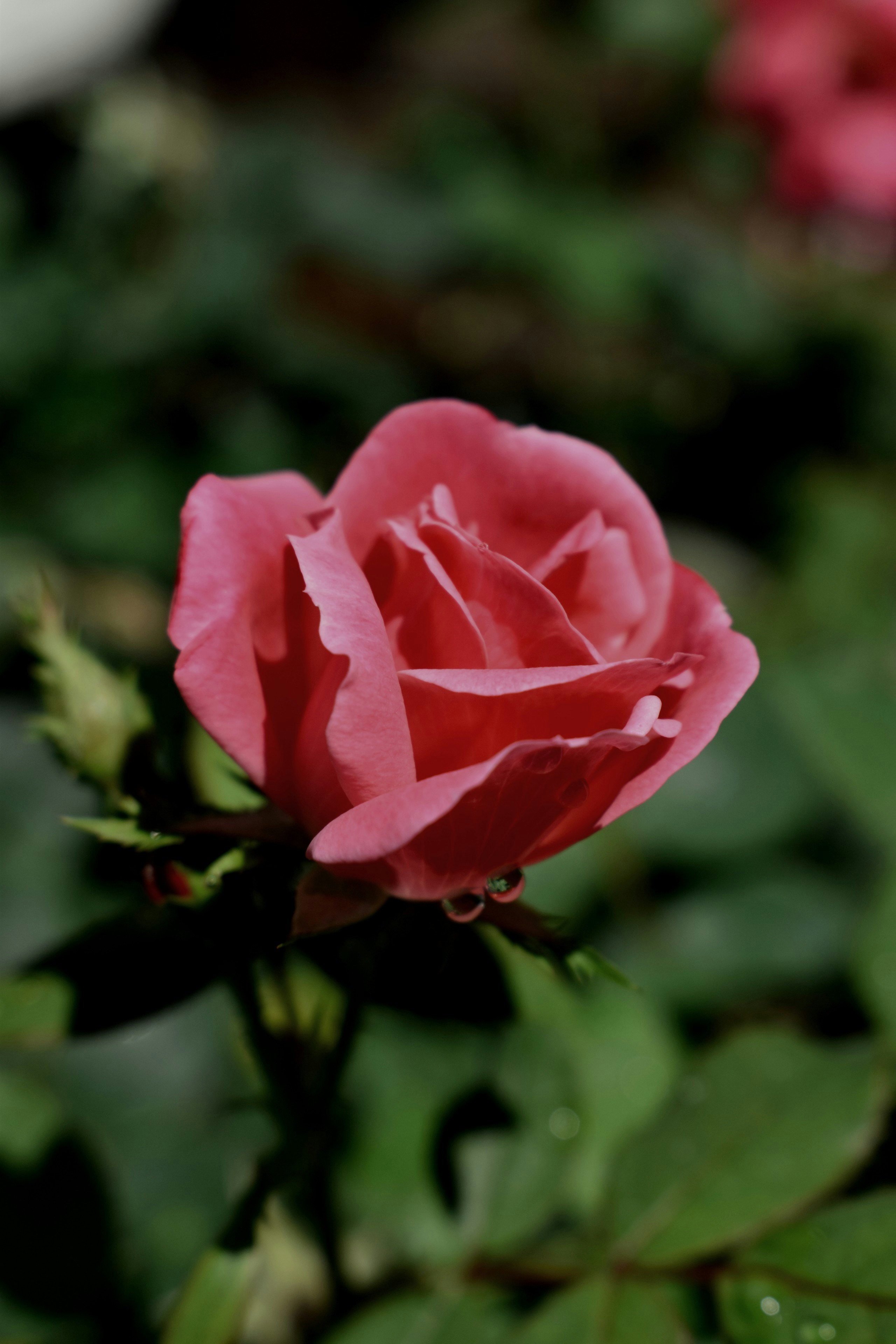 Photo by mariahhewines