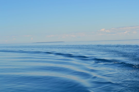 blue ocean water under blue sky during daytime in Tobermory Canada