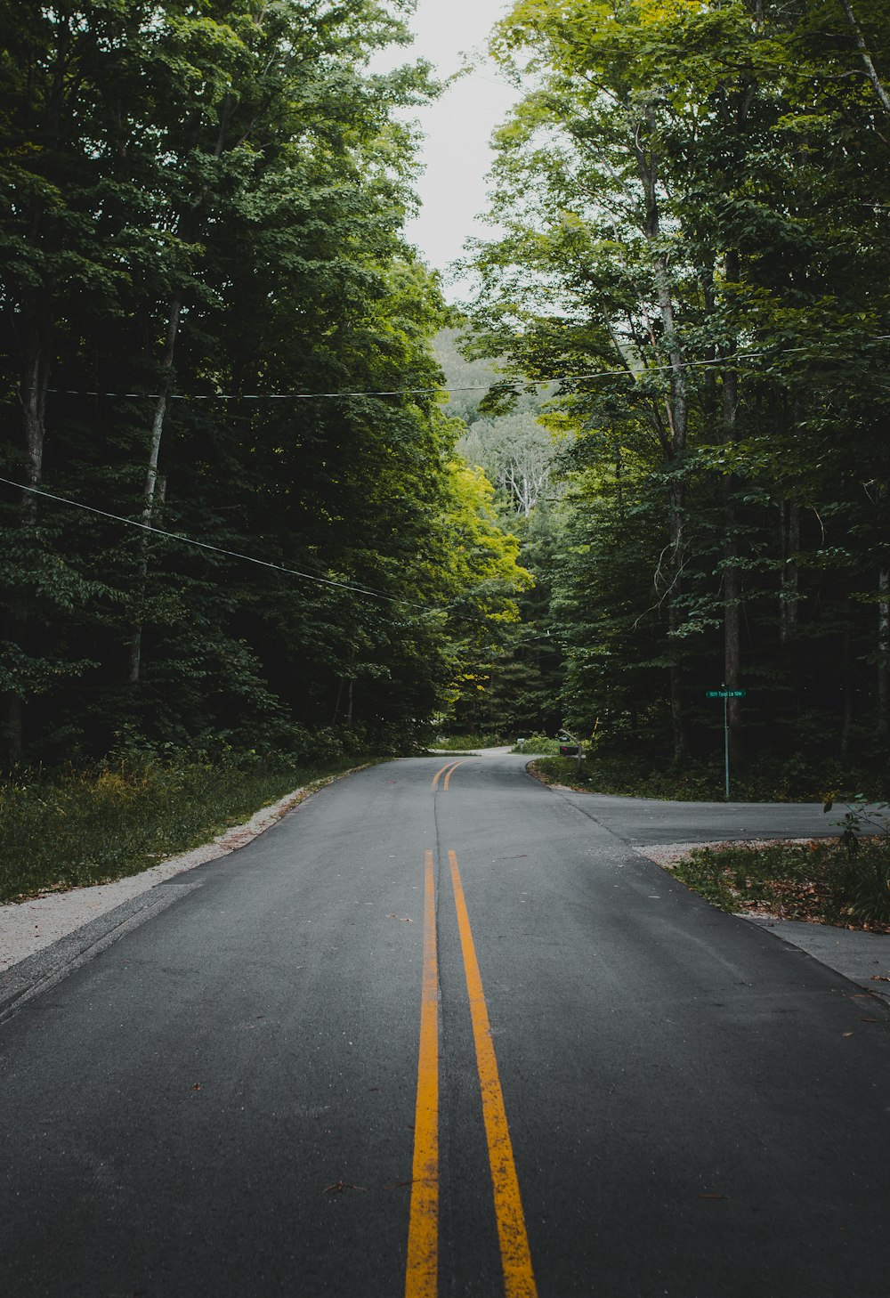 gray concrete road between green trees during daytime