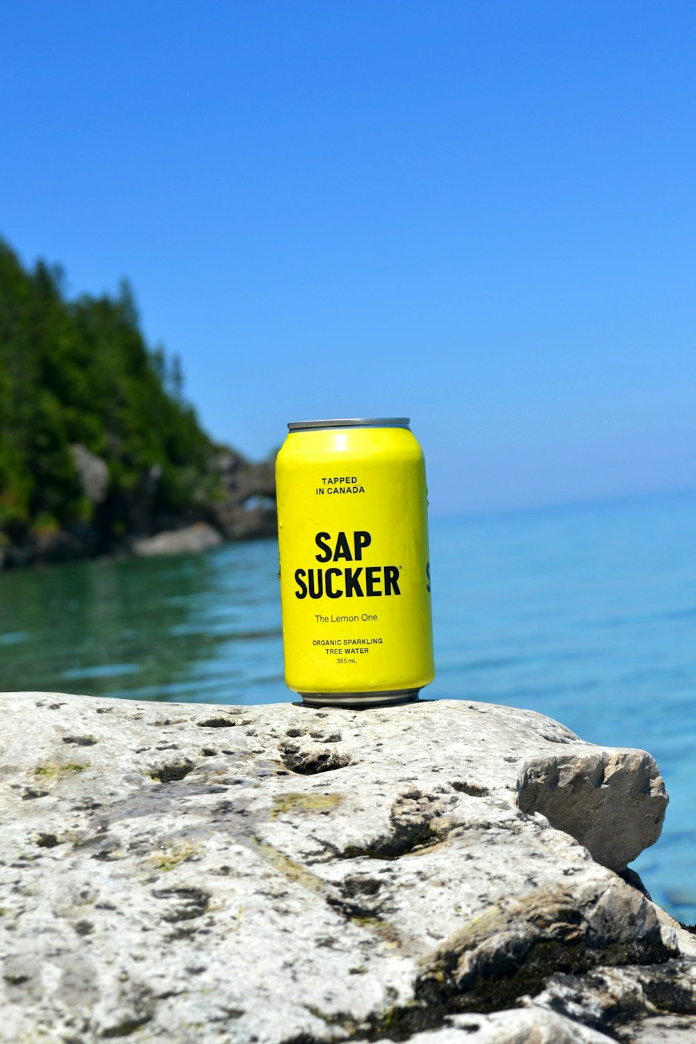 日中の水域近くの灰色の岩の黄色と緑色の缶