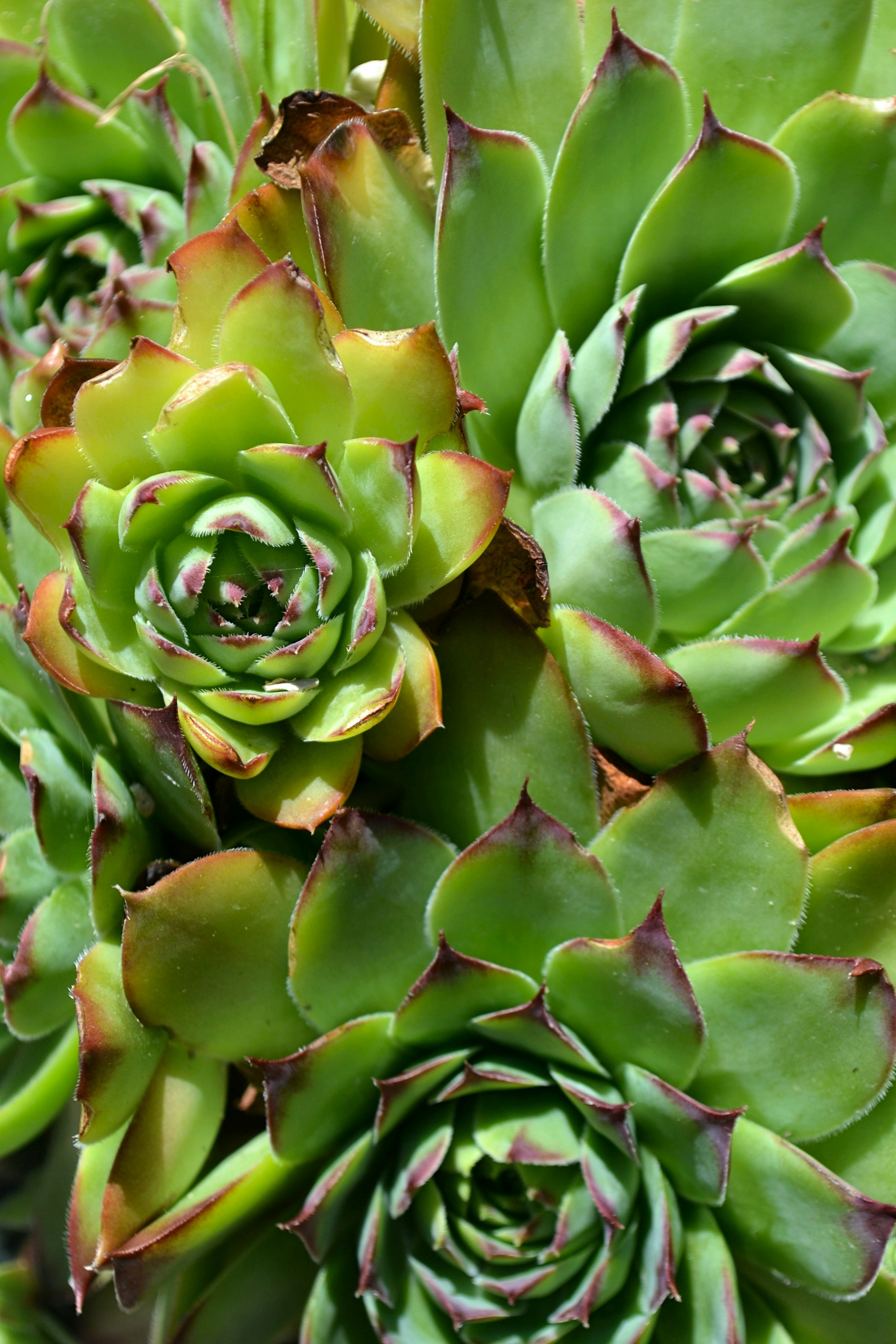 Photo by michealcopley03