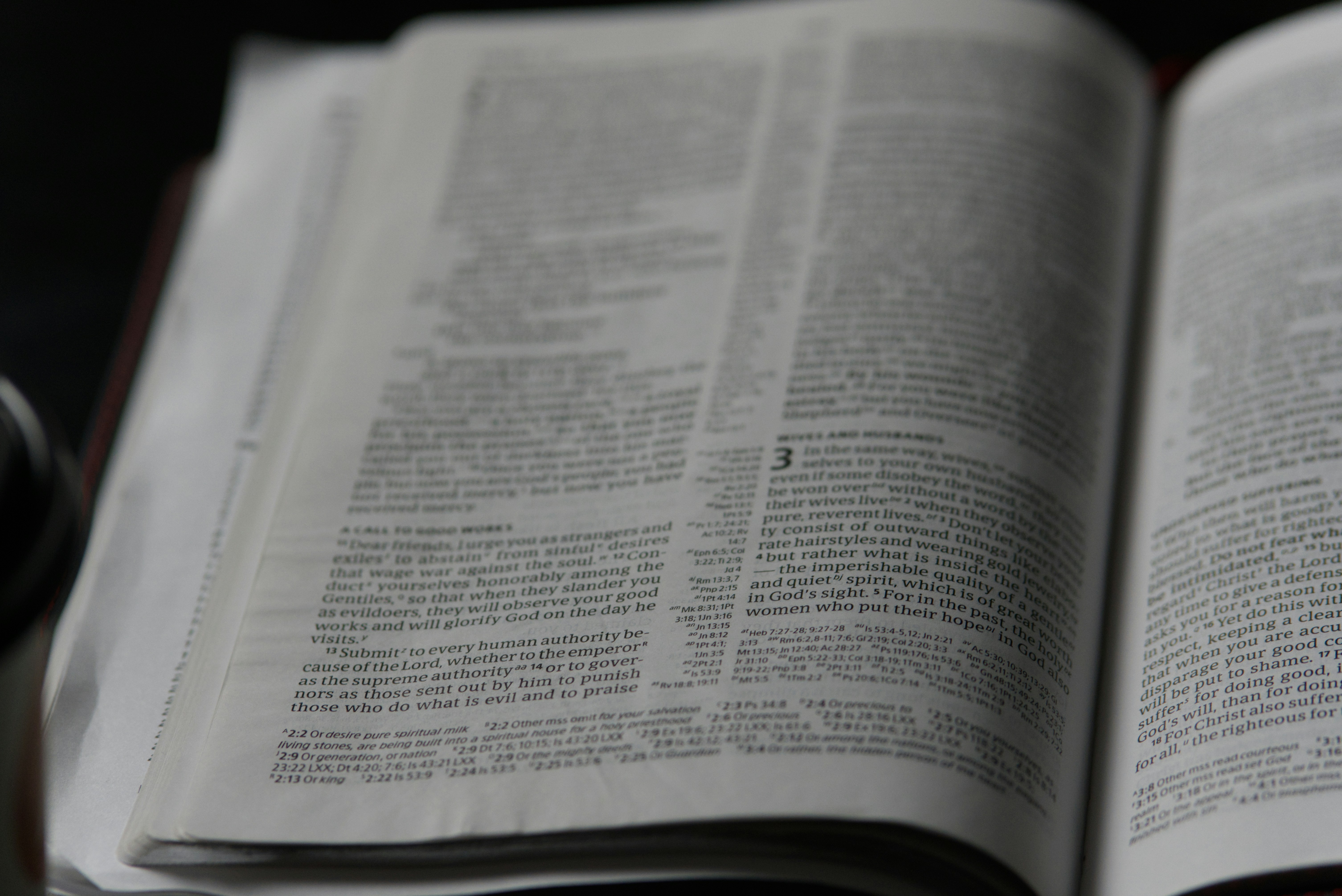 Photo by kolbymilton