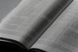 A thoughtful editor reviewing a manuscript in a softly lit room filled with books.