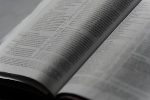 A scholar carefully examining an ancient manuscript under soft natural light.