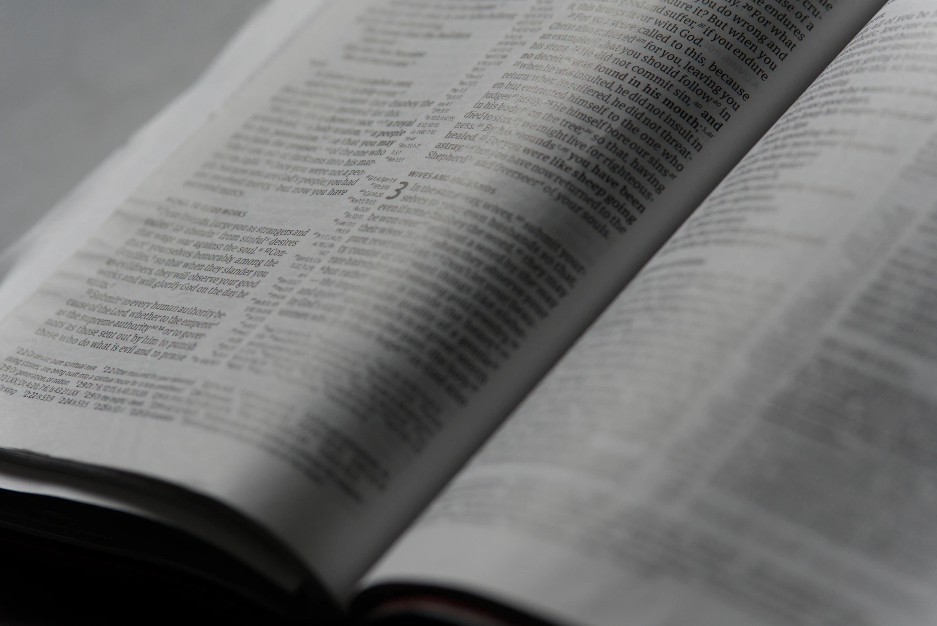 A close-up of hands studying financial books and an open ebook reader displaying a trading guide, with soft natural lighting.