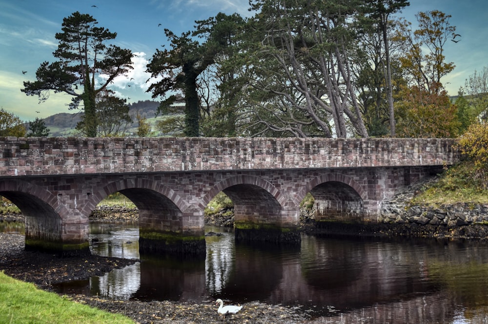 gray concrete bridge over river