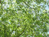 Das bunte Oster-Abenteuer im Wald