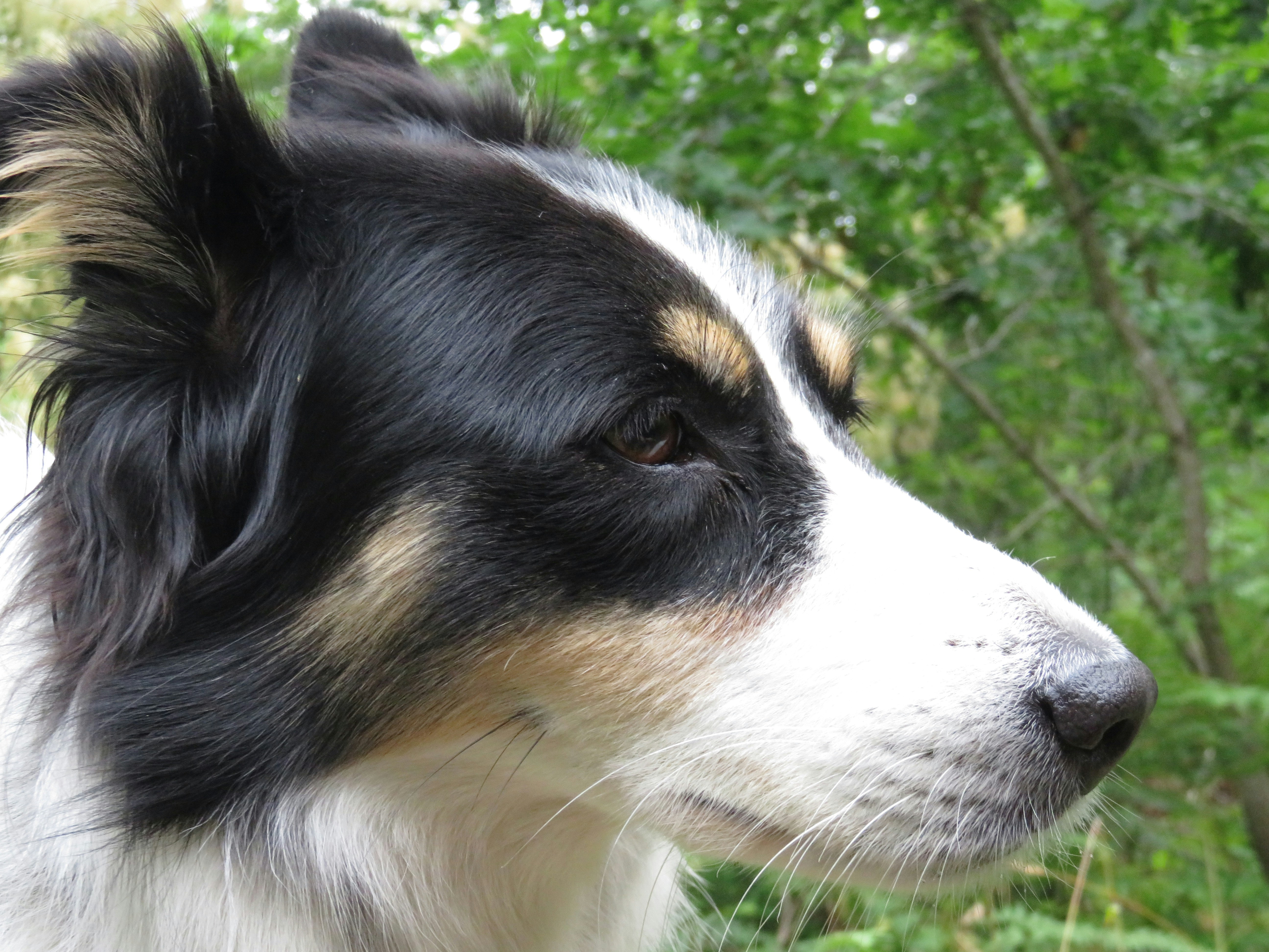 Photo by slyfox_photography