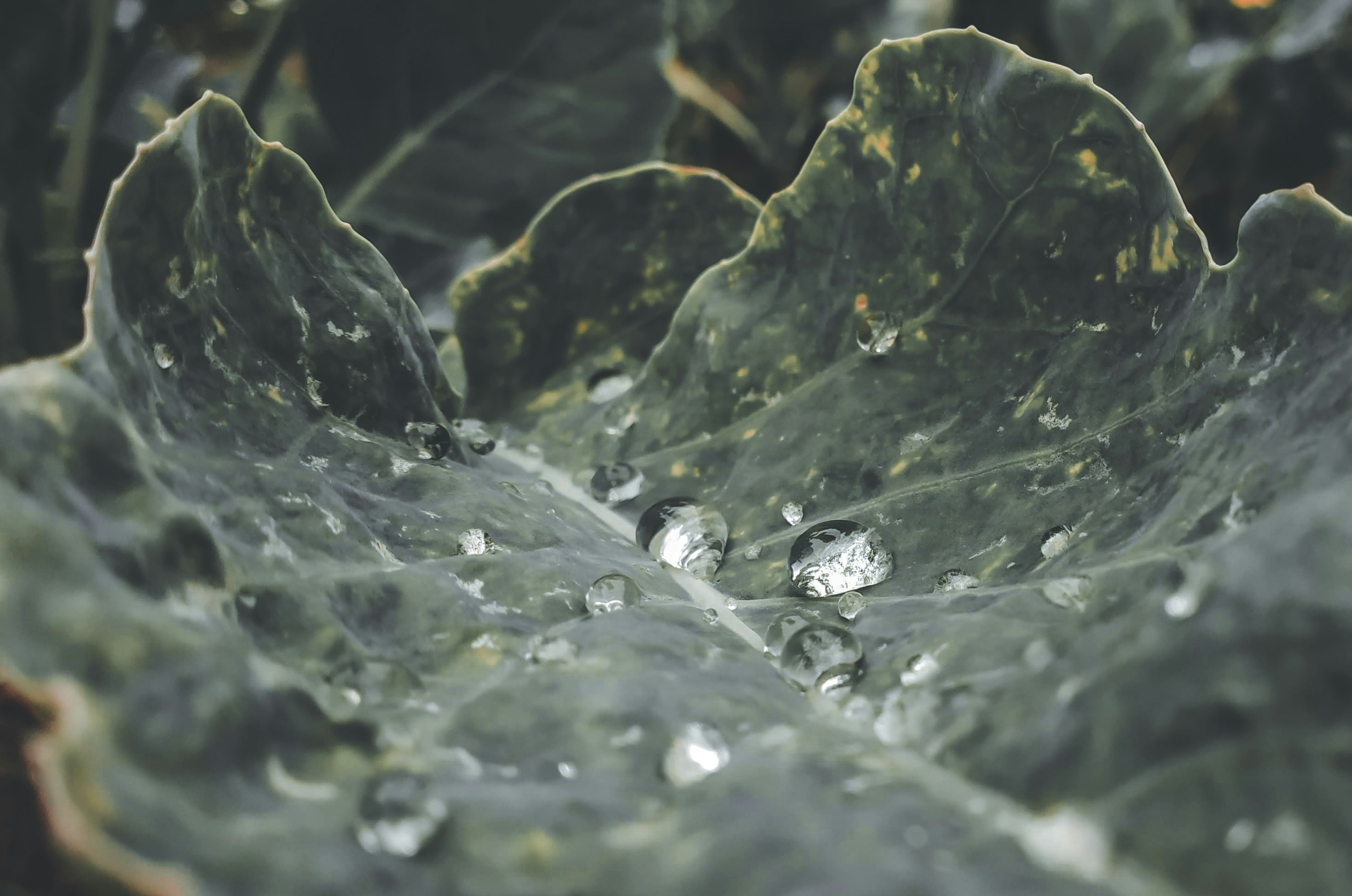 Photo by themirsuhail