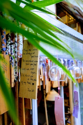 A collection of decorative wooden plaques and glass wind chimes hang together. One plaque bears a handwritten message with a heartfelt wish framed by natural green leaves providing a vibrant foreground. The scene exudes a crafted, artistic feel with various ribbons and strings adding to the visual interest.
