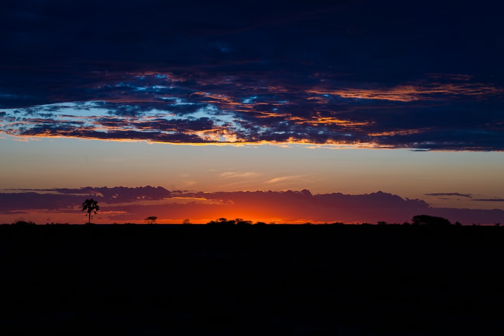 silhouette of people on beach during sunset