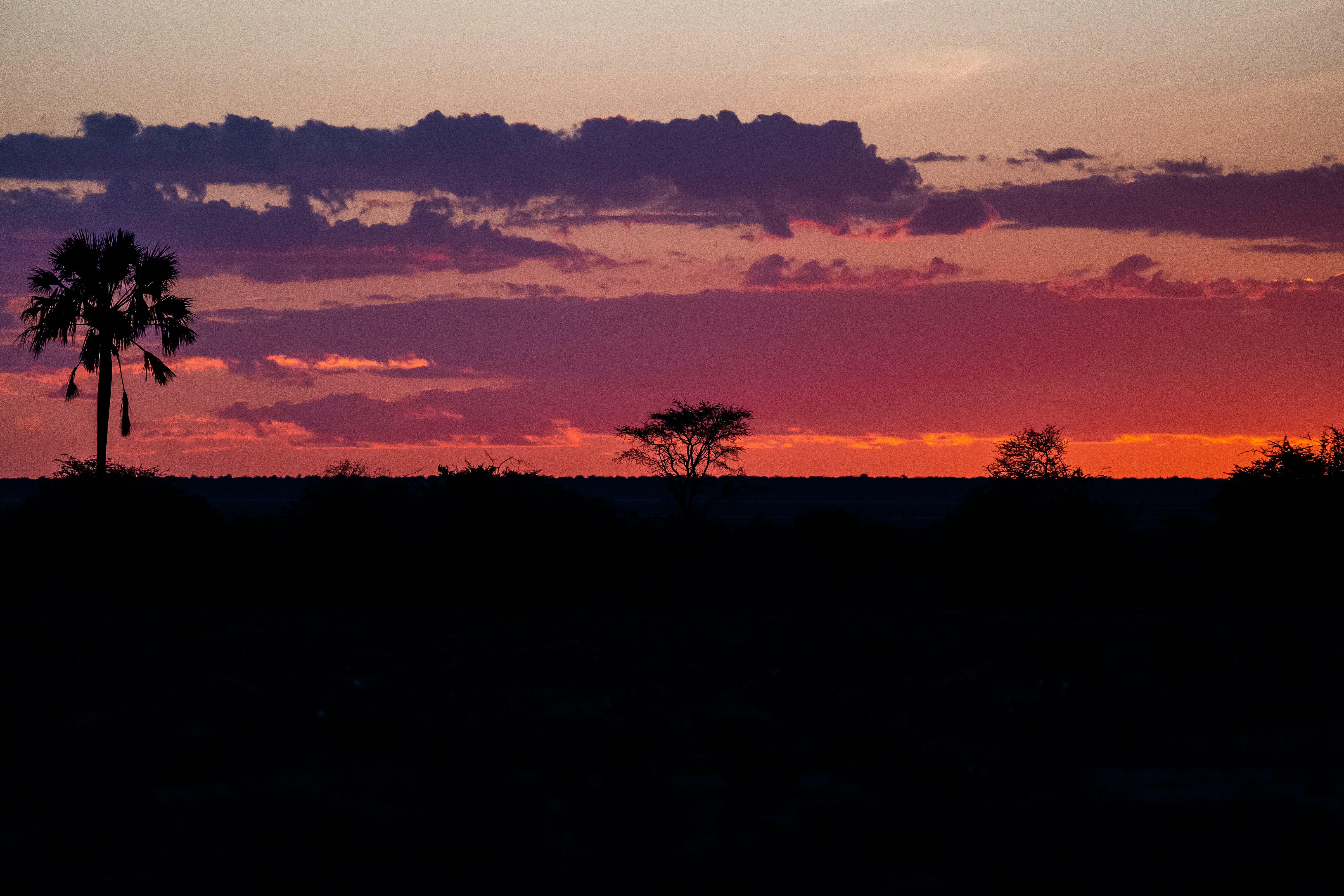 African savanna sunset, ilustrasi artikel Embark on an Unforgettable Safari Honeymoon: A Once-in-a-Lifetime Adventure 7