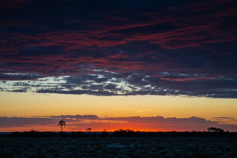 silhouette of 2 people standing on beach during sunset