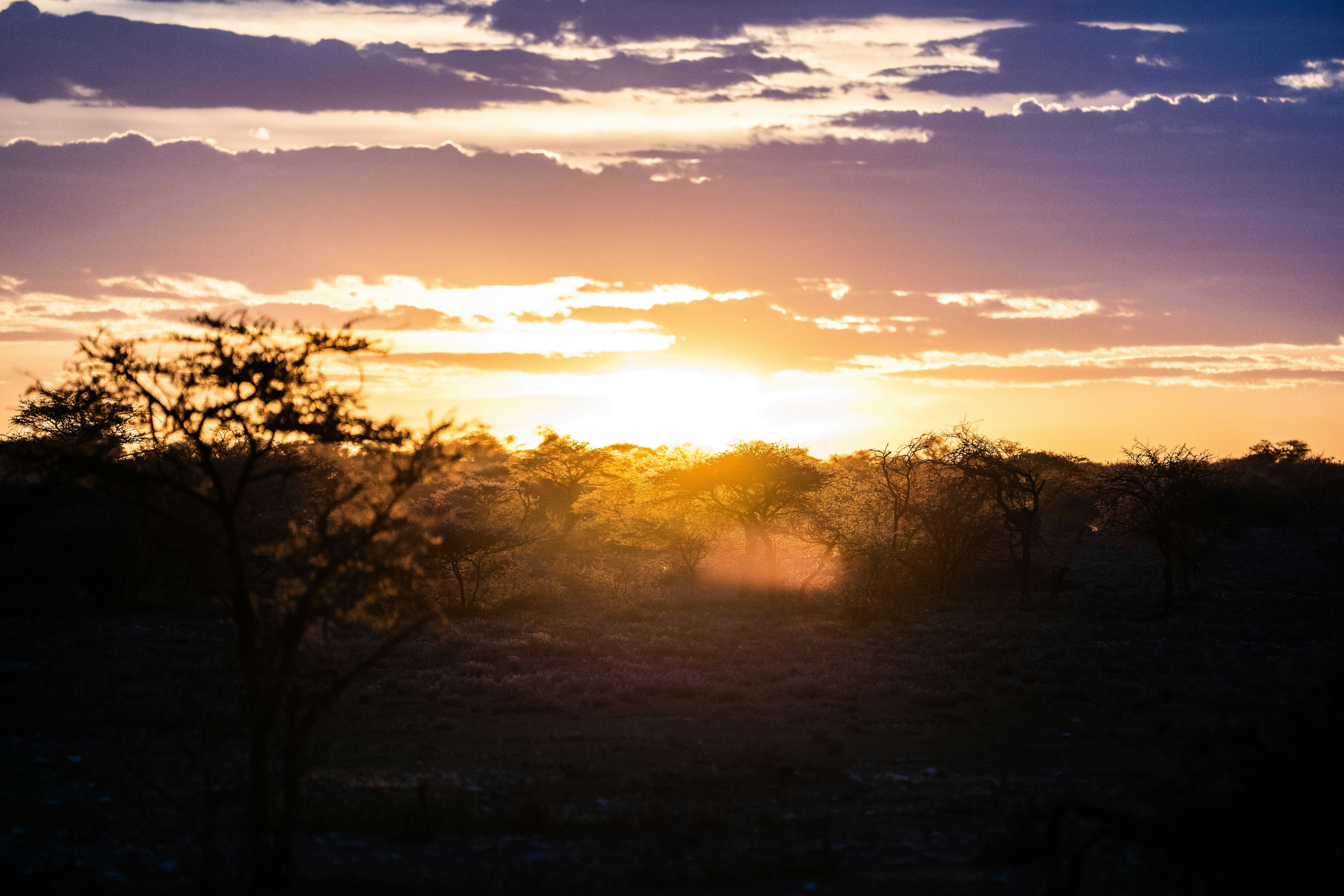 Views over Etosha, Namibia February 2020.