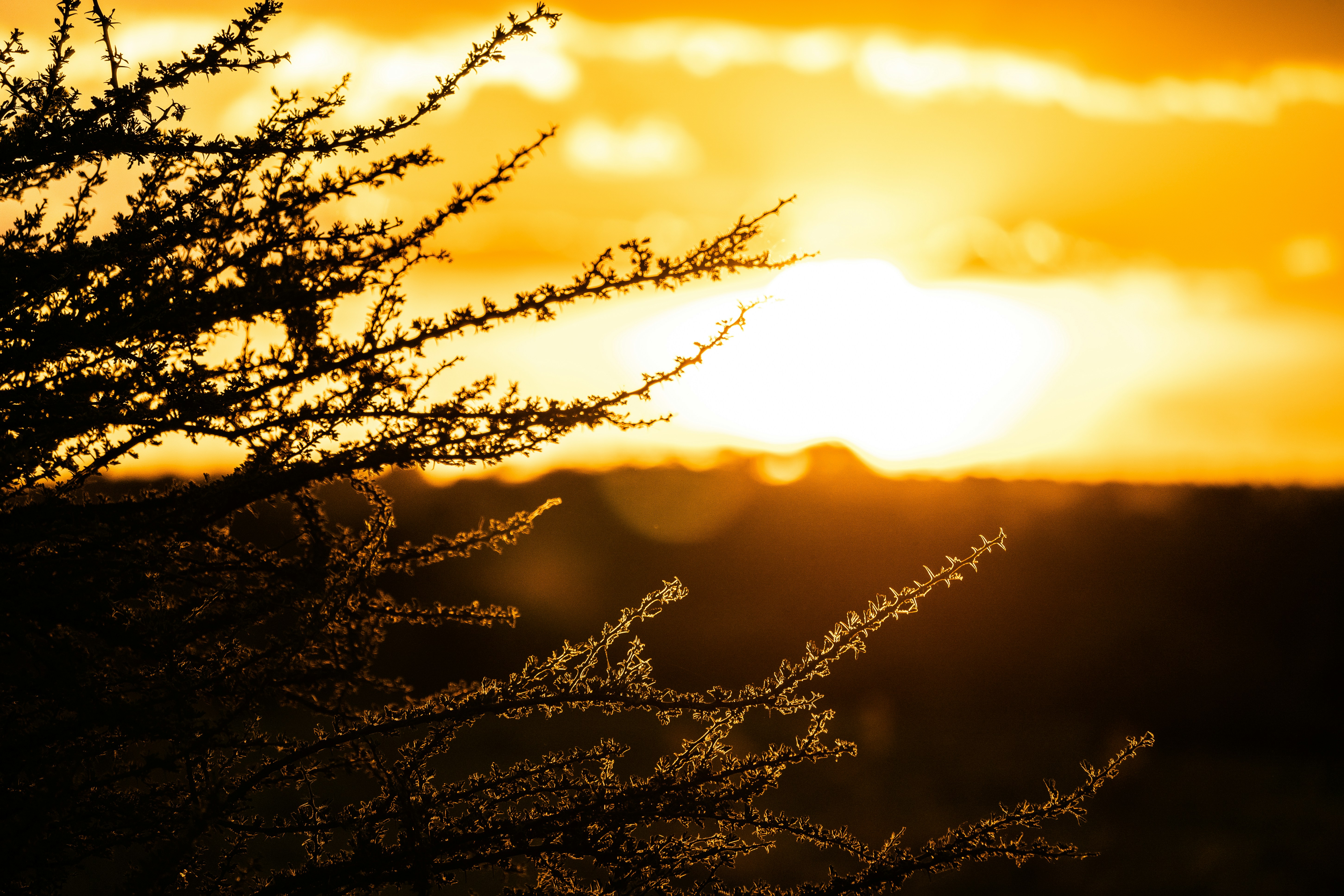 Photo by eelco_bohtlingk