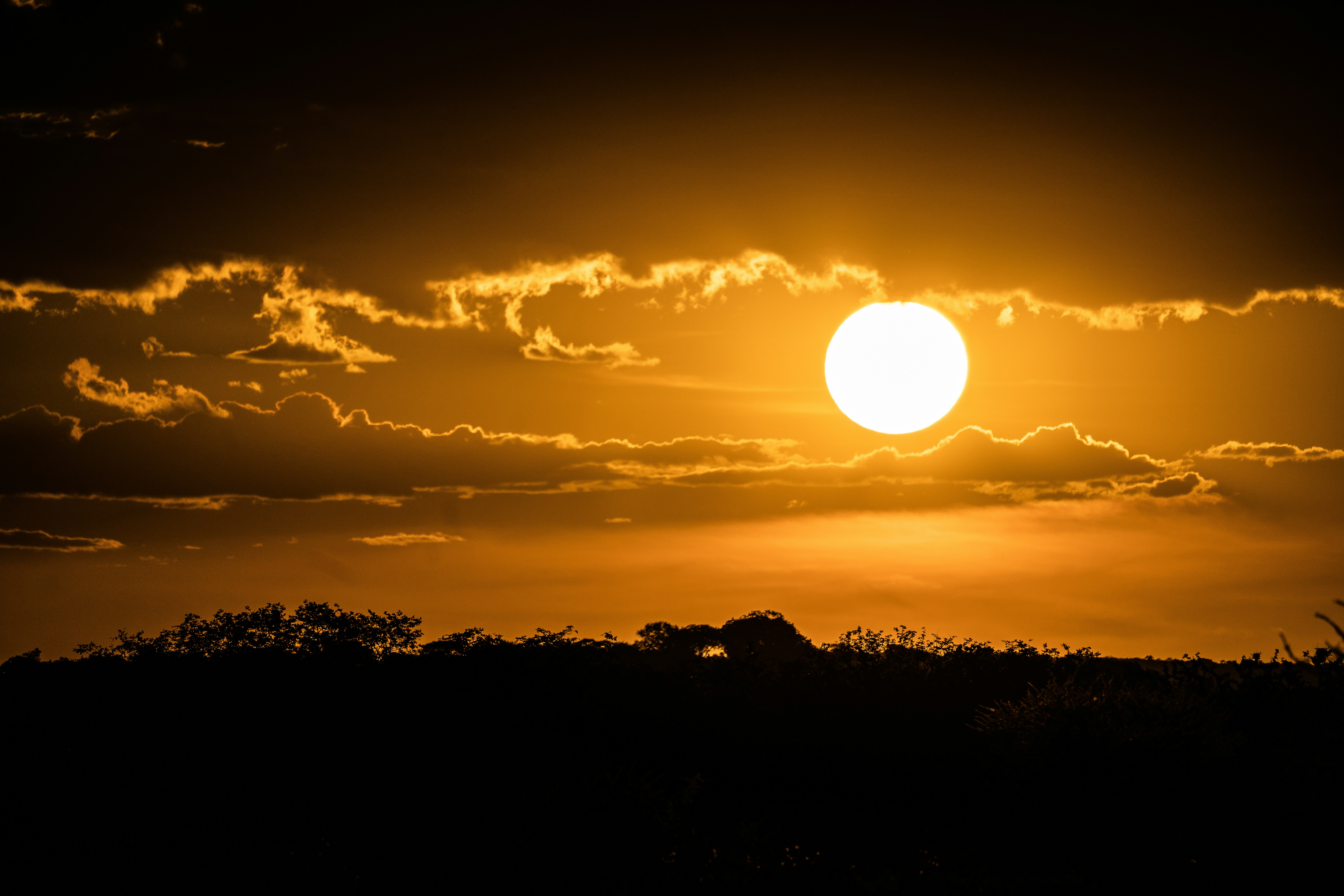 Photo by eelco_bohtlingk