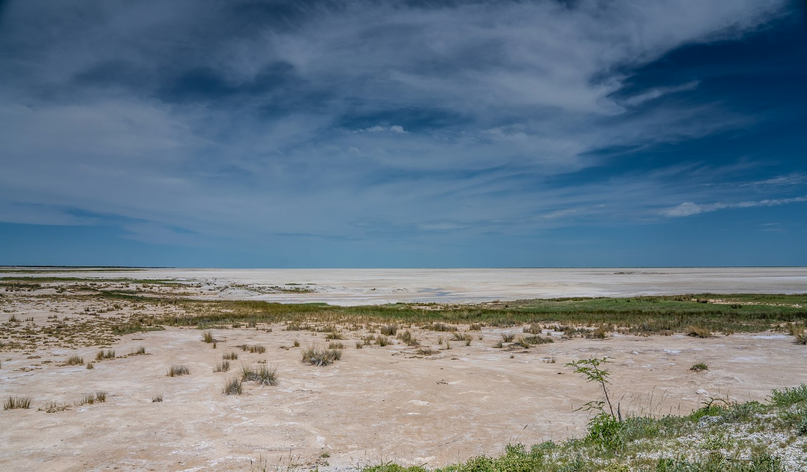 Weiter Blick über den Grasrand der Etosha-Pfanne unter blauem Himmel, Etosha und zentraler Norden