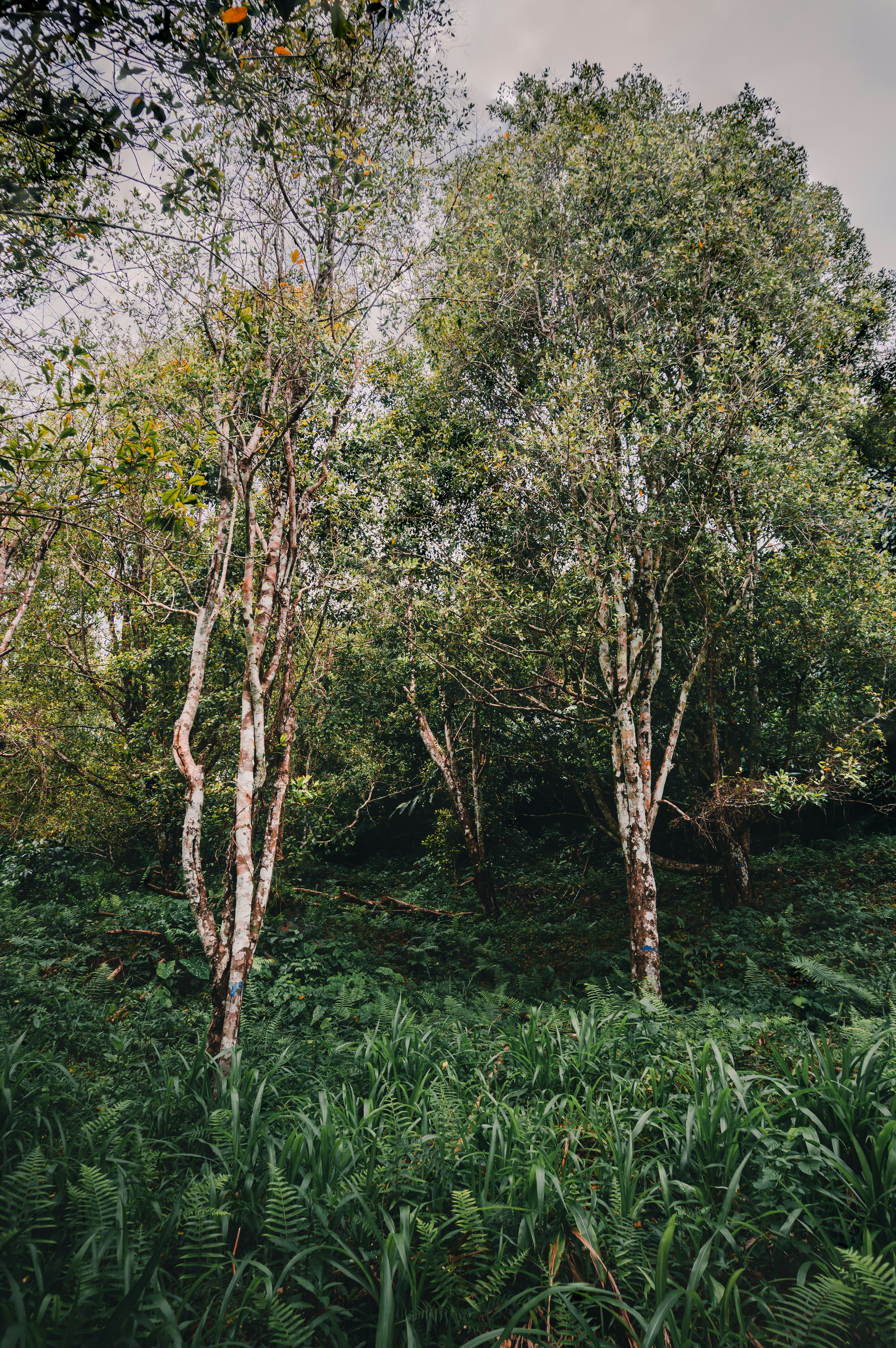 Photo by robertmodalo