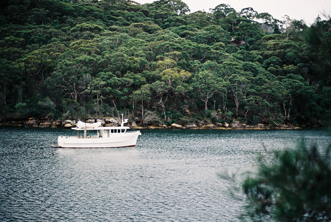 Nature reserve photo spot Sydney Palm Beach NSW