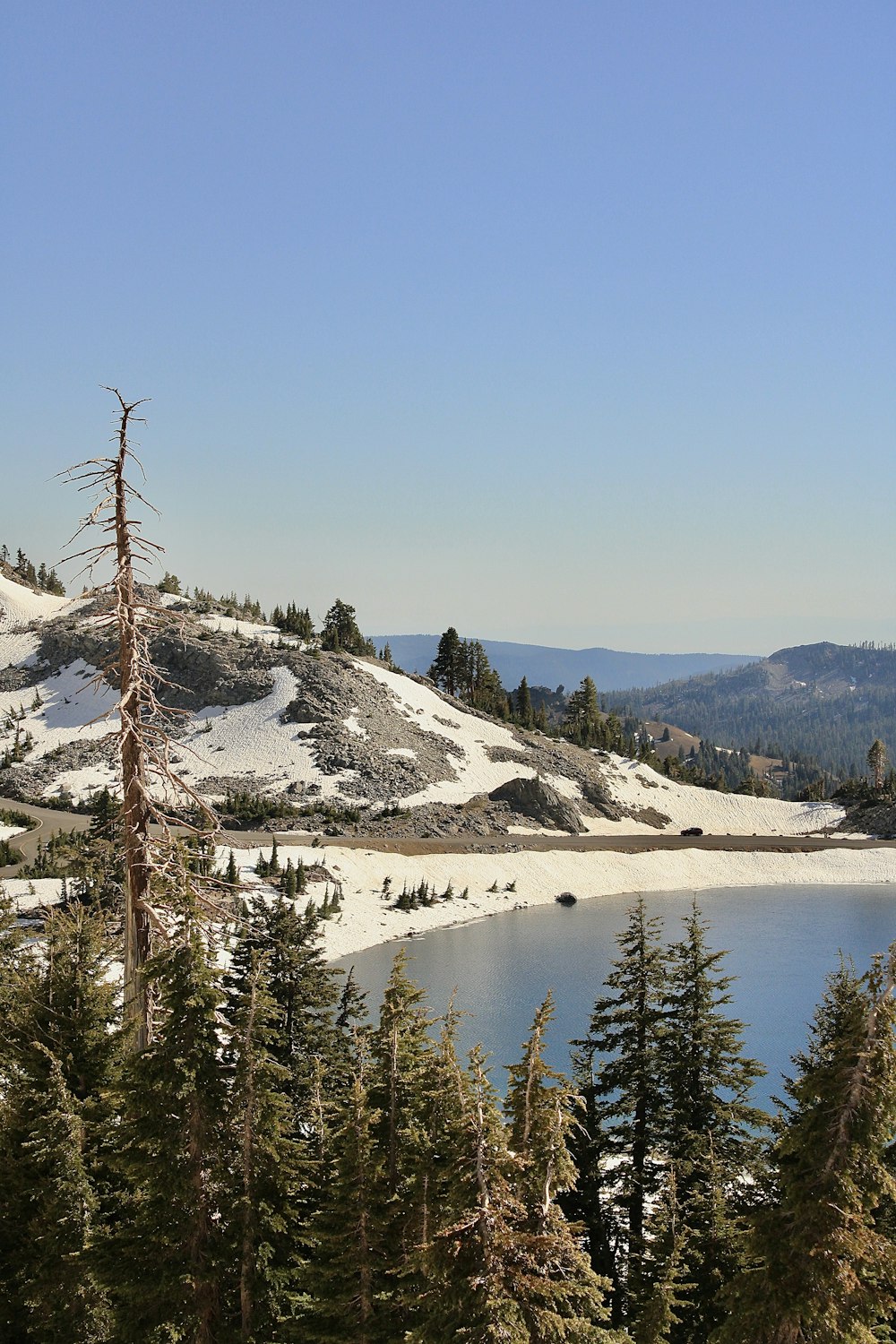 green pine trees near snow covered mountain during daytime