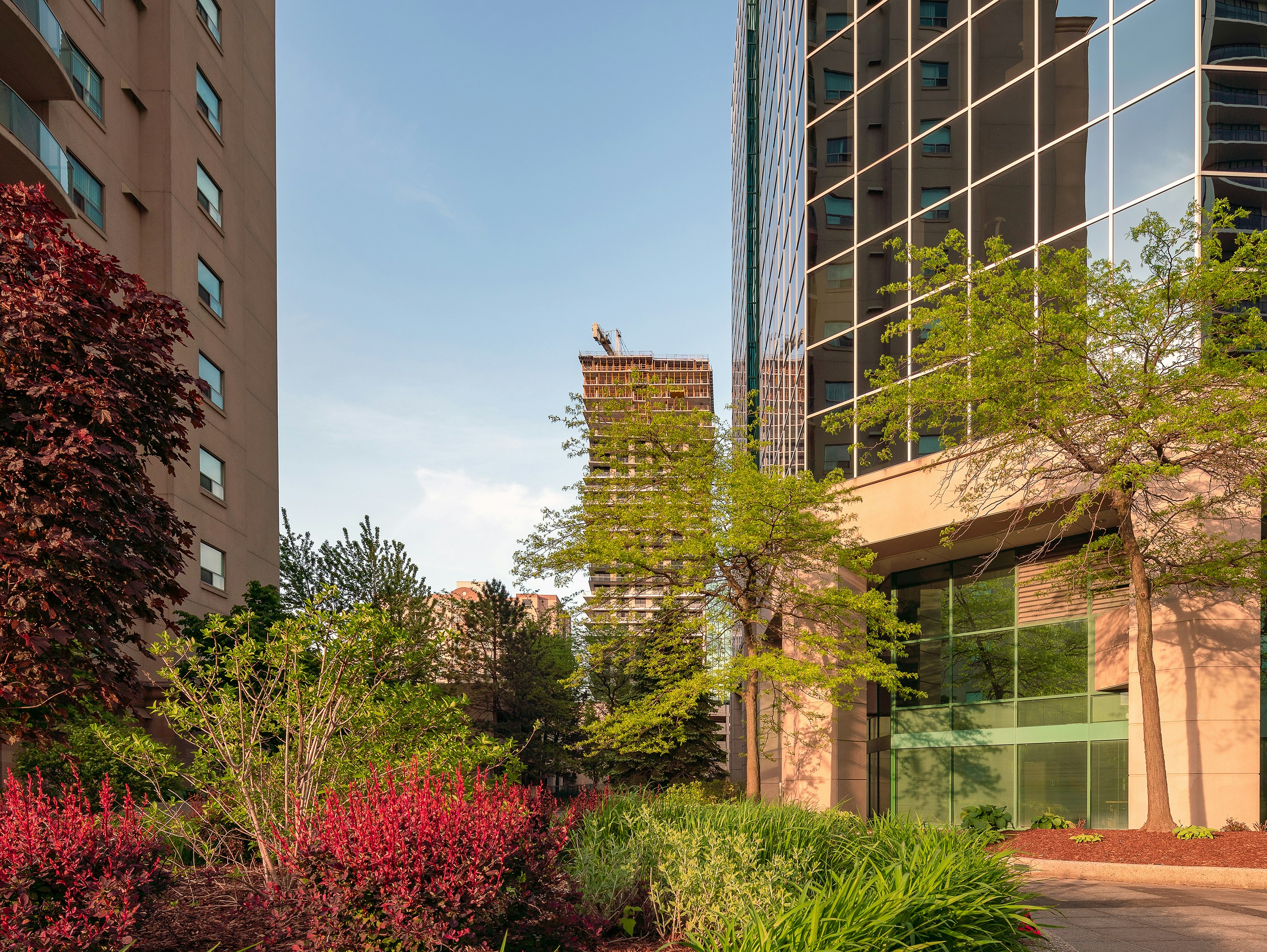 green and red plants near brown concrete building during daytime