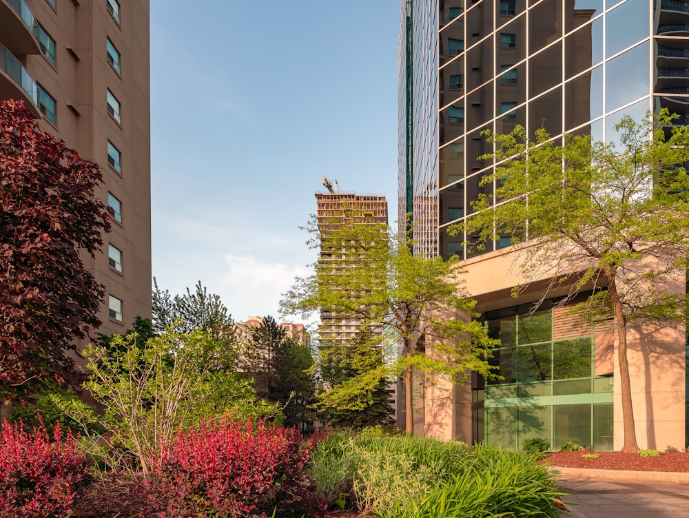 green and red plants near brown concrete building during daytime