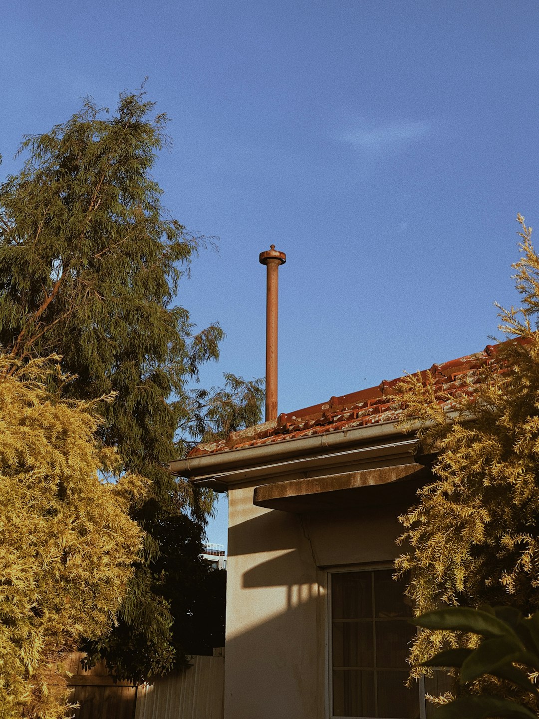 brown and white wooden house near green trees under blue sky during daytime