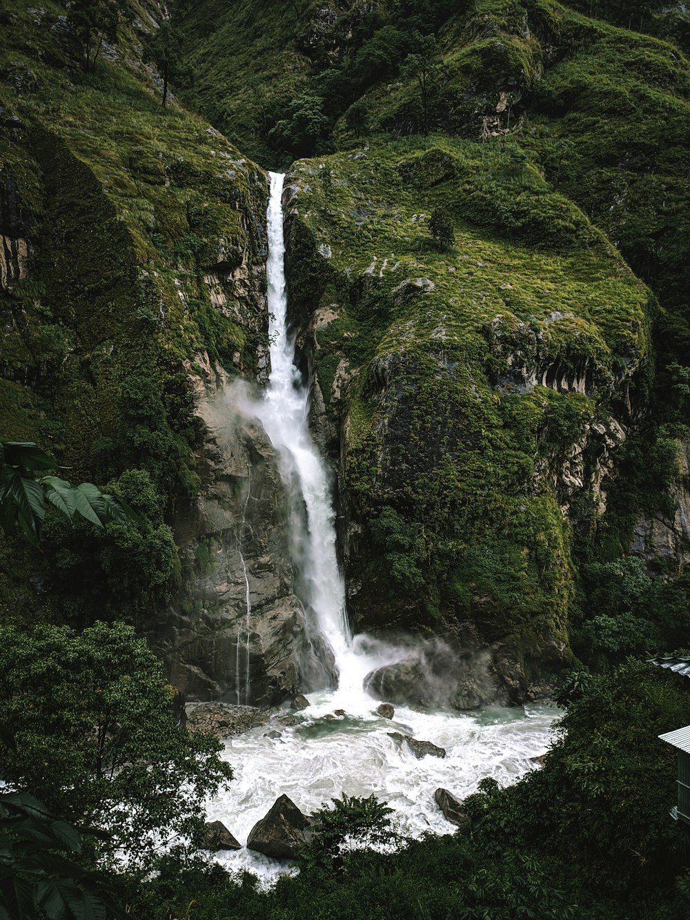 waterfalls in the middle of green trees