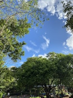 Wide shot of Nehru Park in Burnpur with people relaxing and children playing.
