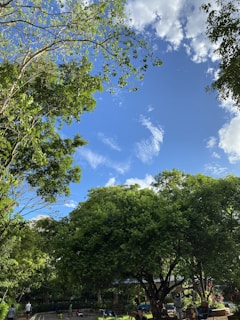 Wide shot of Nehru Park in Burnpur with people relaxing and children playing.