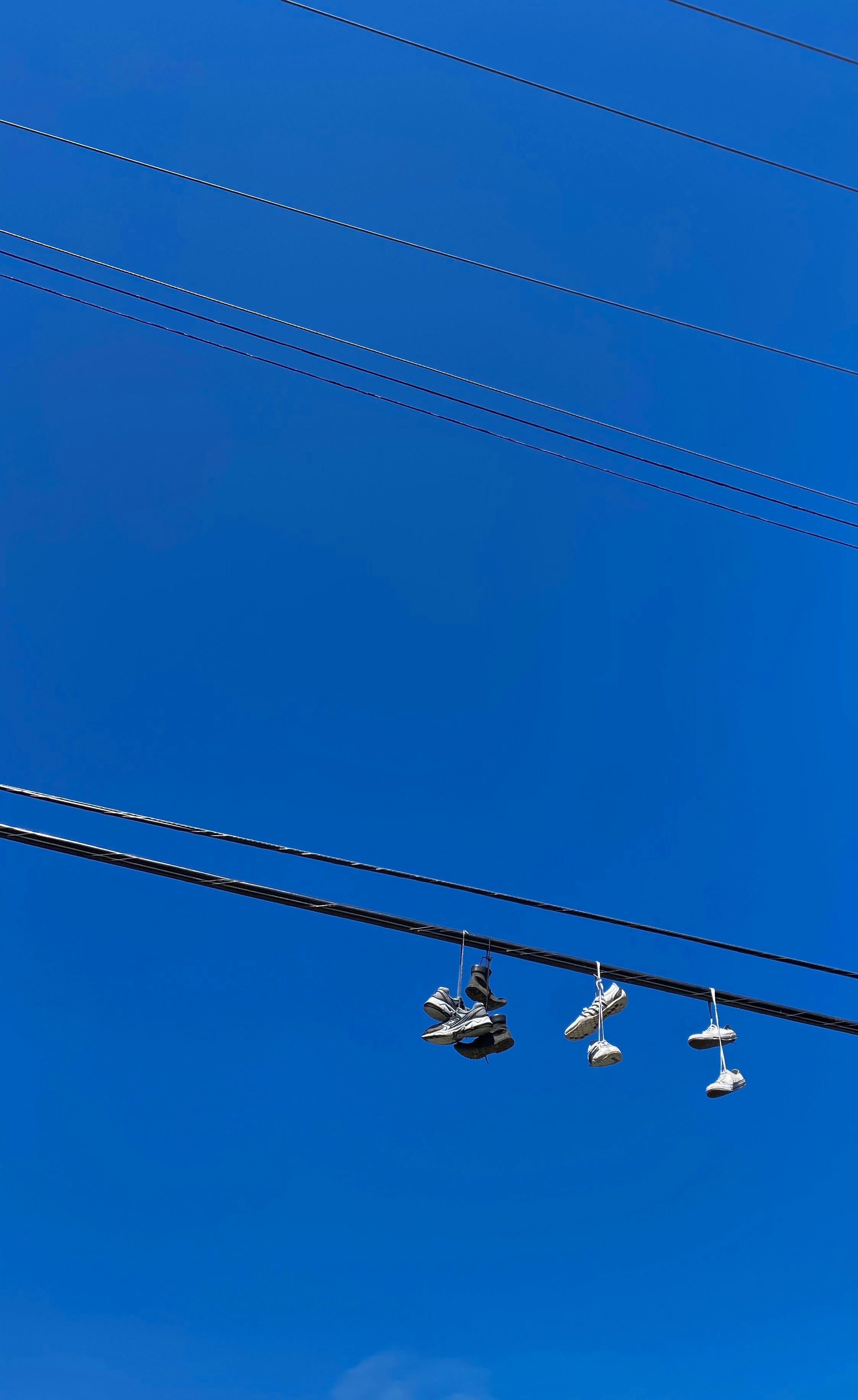 flock of birds on cable wire under blue sky during daytime