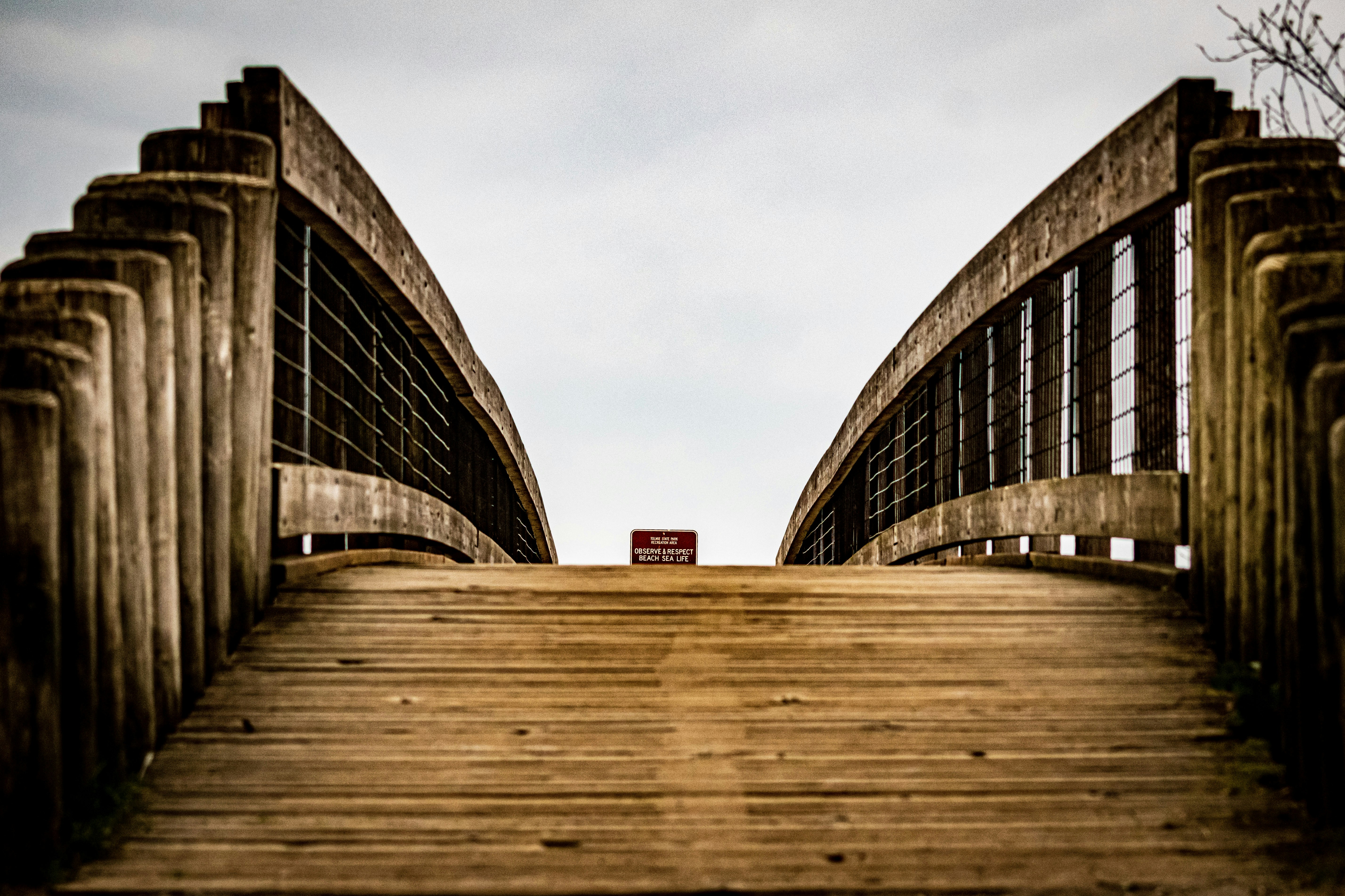 Photo by brycecarithersphotography