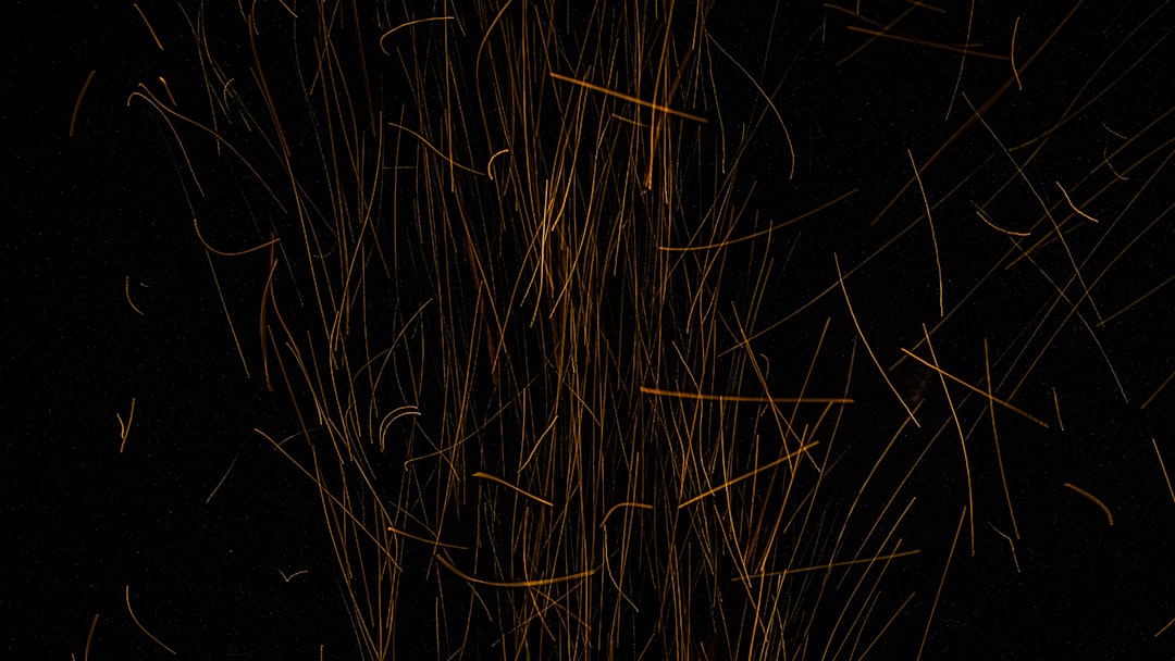 brown grass on black background