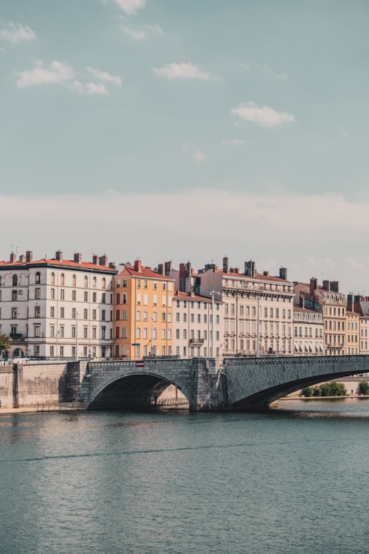 white and brown concrete building near bridge in Jardin Archéologique France