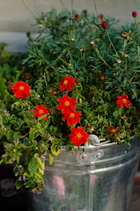 A bright and cheerful bucket featuring bold reds and yellows, capturing an energetic and lively mood.