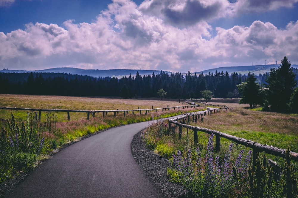 gray concrete road between green grass field under white clouds and blue sky during daytime