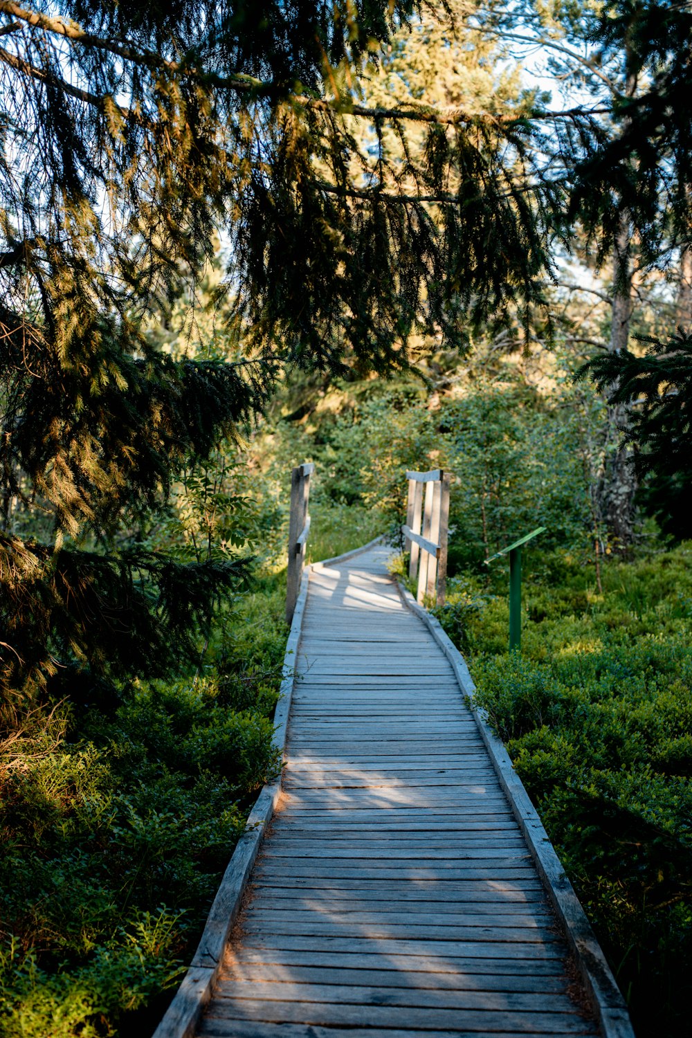 brown wooden bridge in the woods