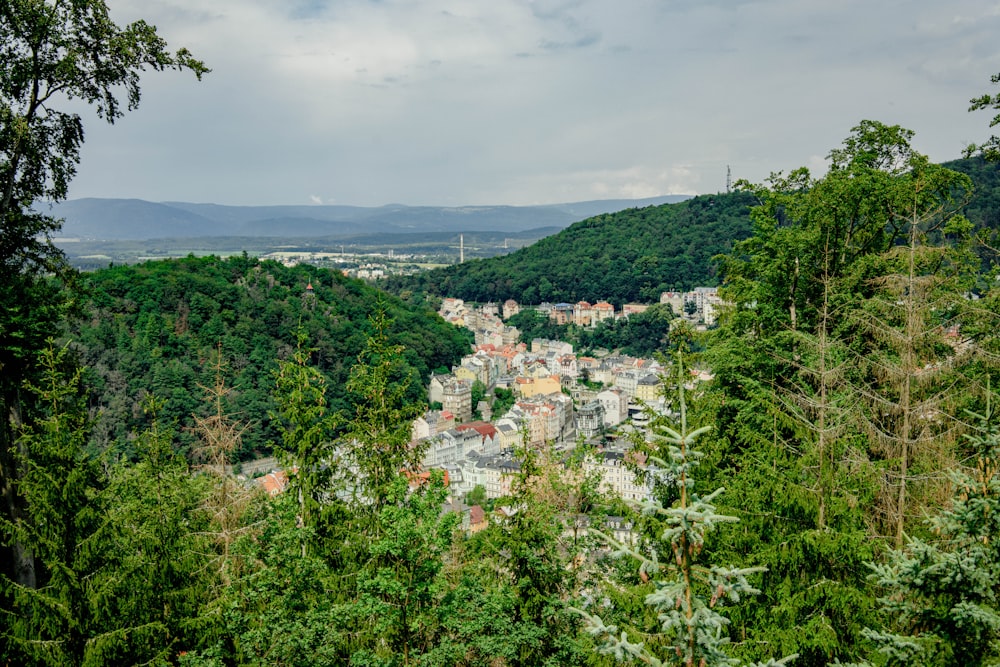 Grüne Bäume und Pflanzen unter weißen Wolken während des Tages