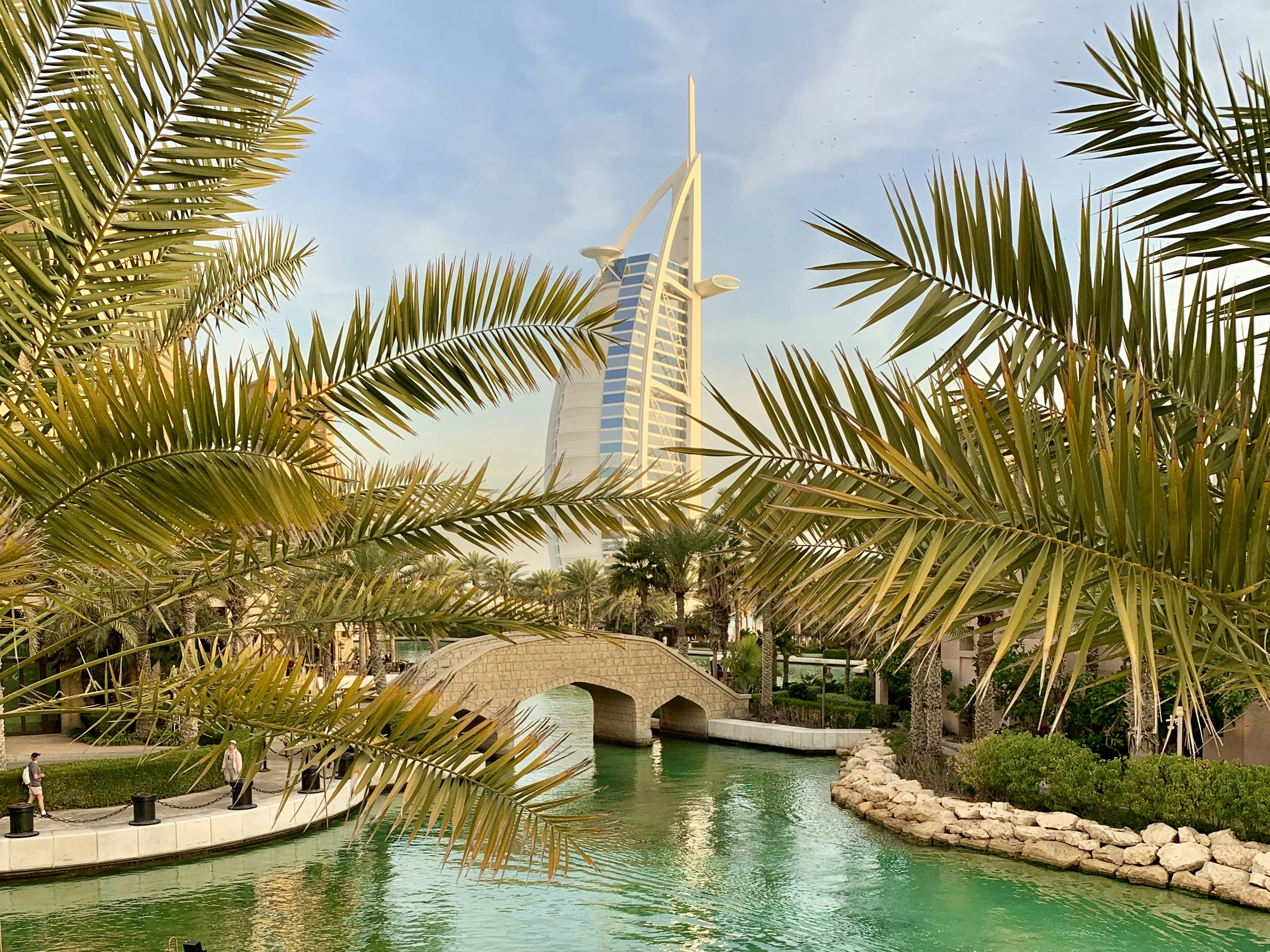 palm trees near body of water during daytime