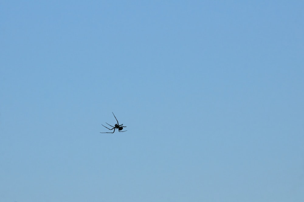 black airplane in mid air during daytime