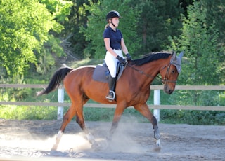 woman in blue and white long sleeve shirt riding brown horse during daytime