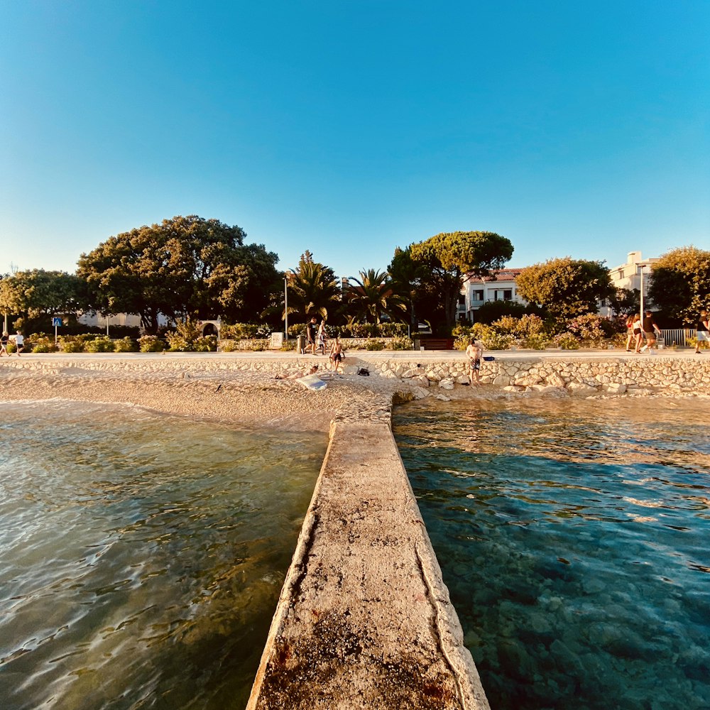 a long wooden dock extends into the water