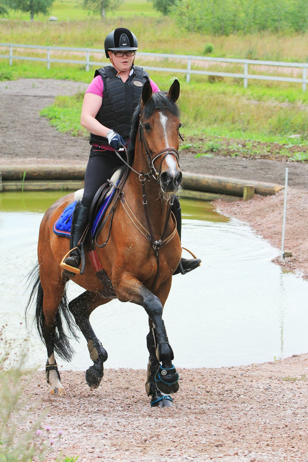 person in blue shirt riding brown horse during daytime