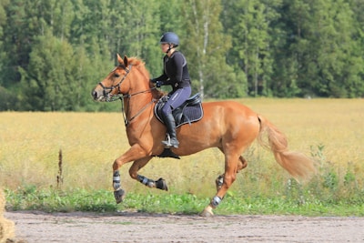 woman in black leather jacket riding brown horse during daytime