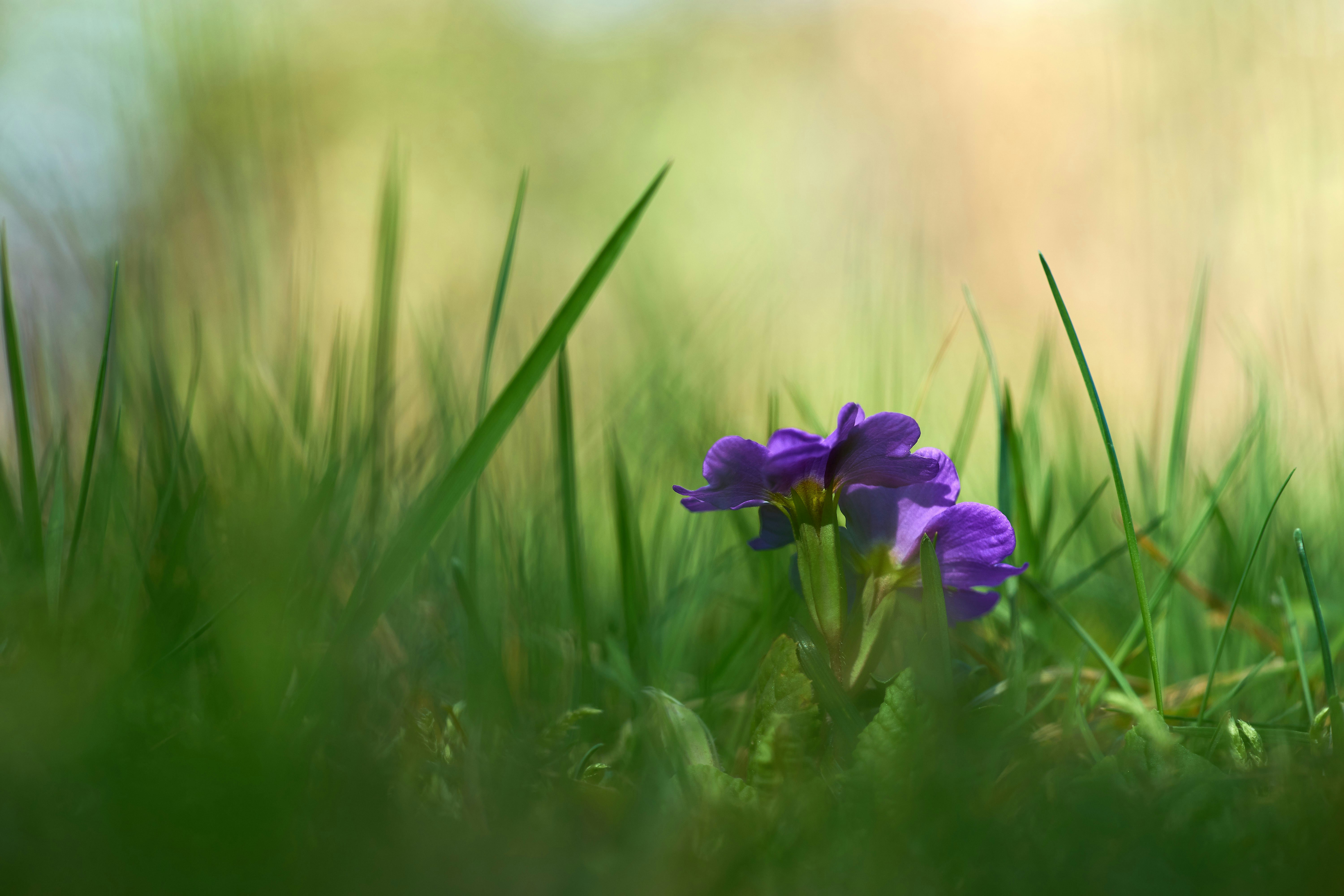 Photo by wolfgang_hasselmann