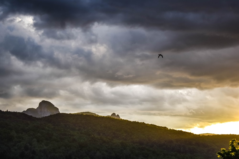 bird flying over green mountain under cloudy sky during daytime