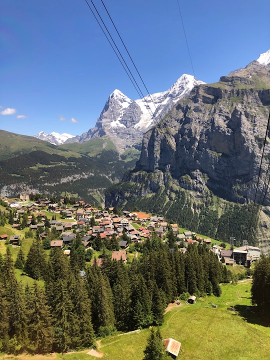 green trees and mountains under blue sky during daytime in Eiger Switzerland
