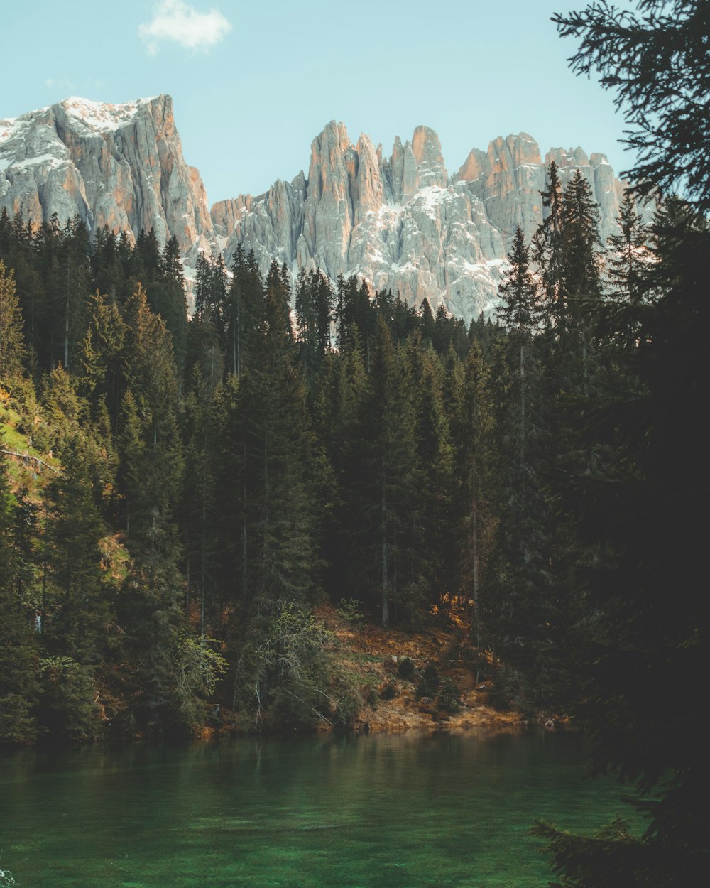 Grüne Bäume in der Nähe von See und Berg