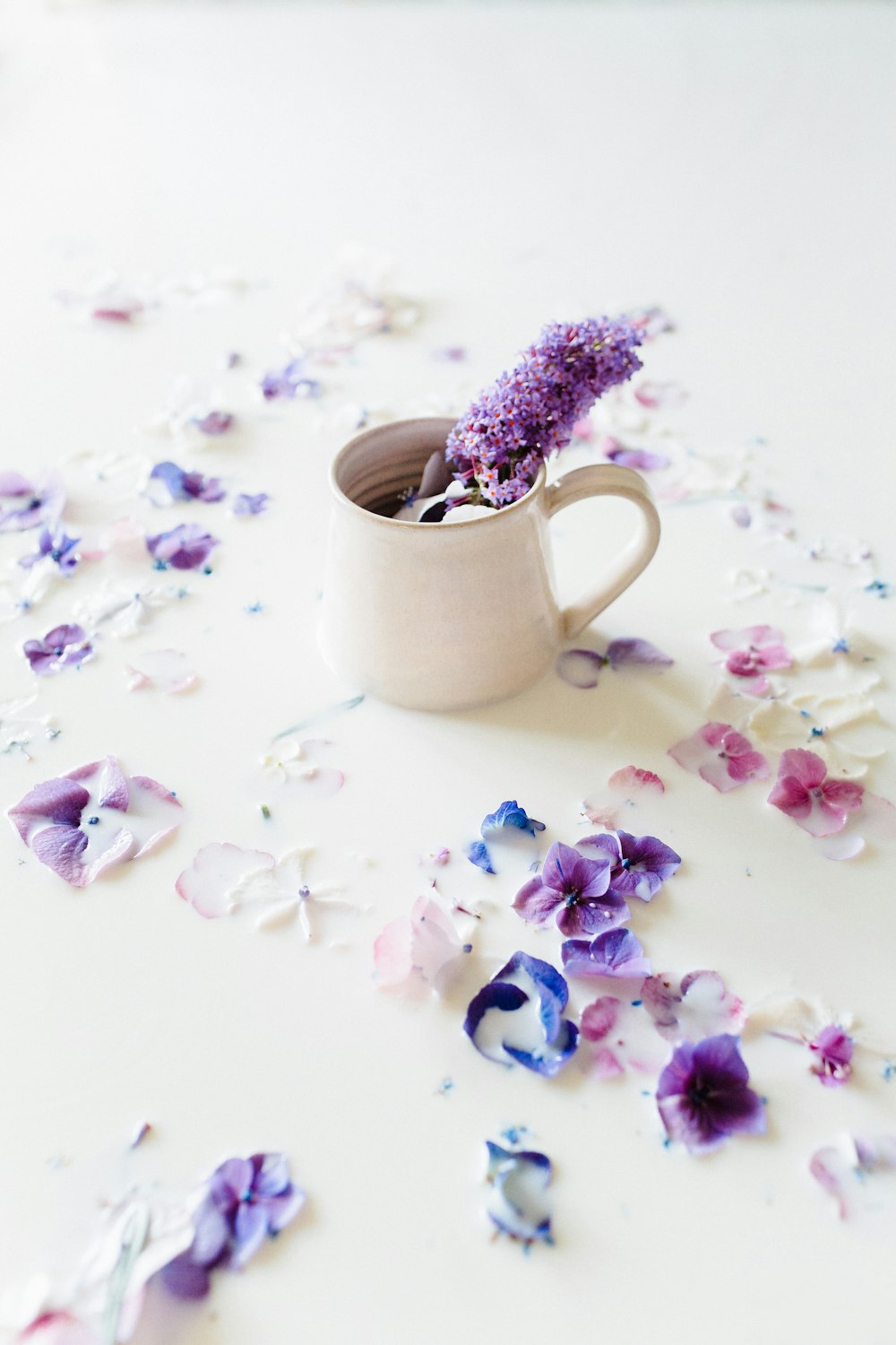 purple flower on white ceramic mug