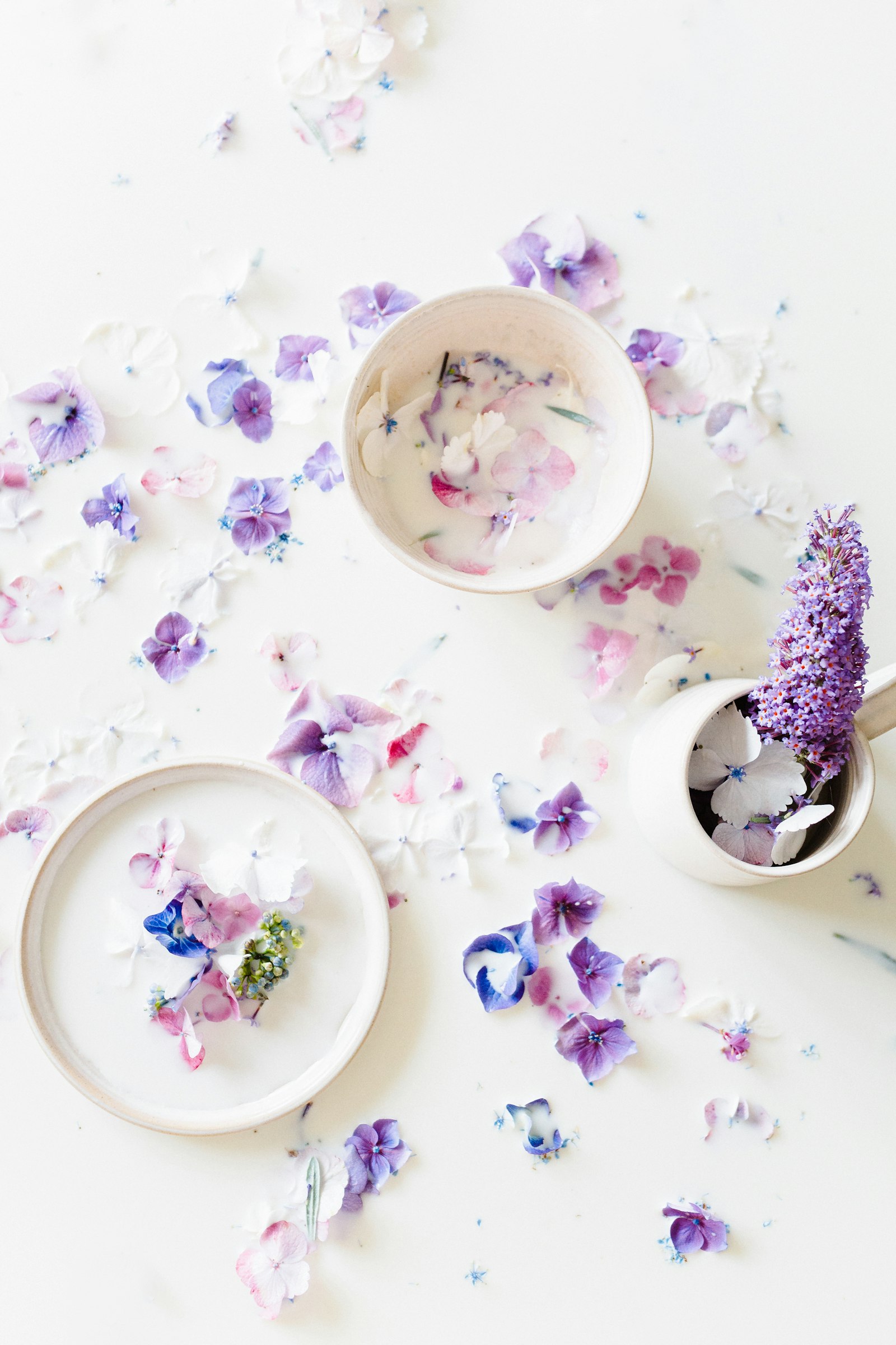 Canon EF 35mm F1.4L USM sample photo. Purple and white flowers photography